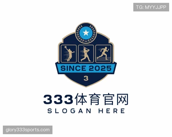 认识333体育